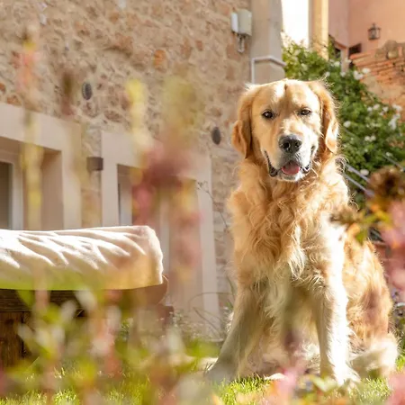 Dimora Segreta פיינצה